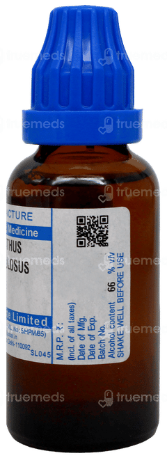 Sbl Ailanthus Glandulosus Q Mother Tincture 30ml